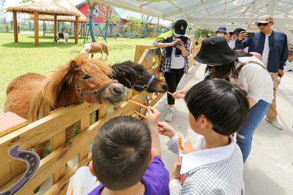 奇趣童年親子樂園 (1).jpg